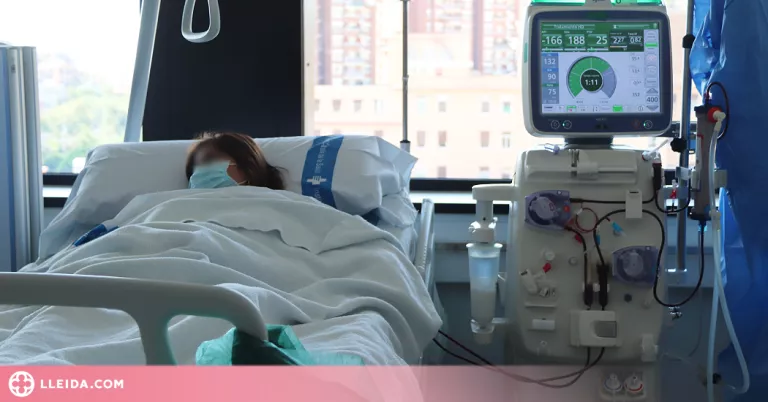 ⏯️ Un nou tractament permet el trasplantament de ronyó en pacients que eren inoperables