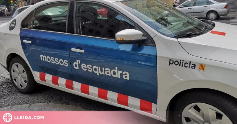 Detingut a la Segarra per robar aparells electrònics a l'empresa que treballava i vendre'ls per Internet