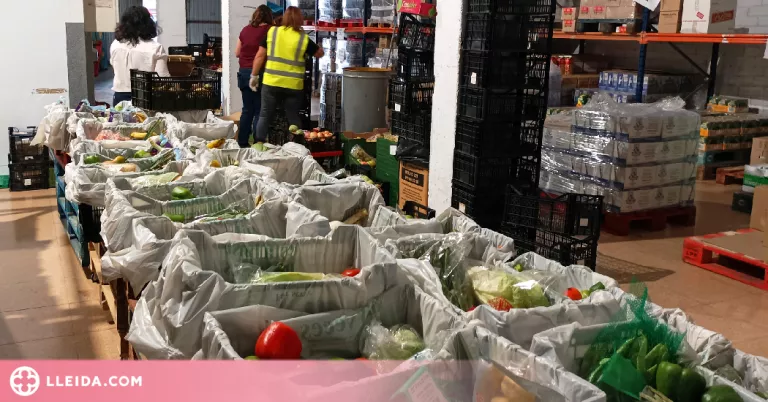 Tàrrega adjudica la gestió del Magatzem d'Aliments Solidaris a Cartaes