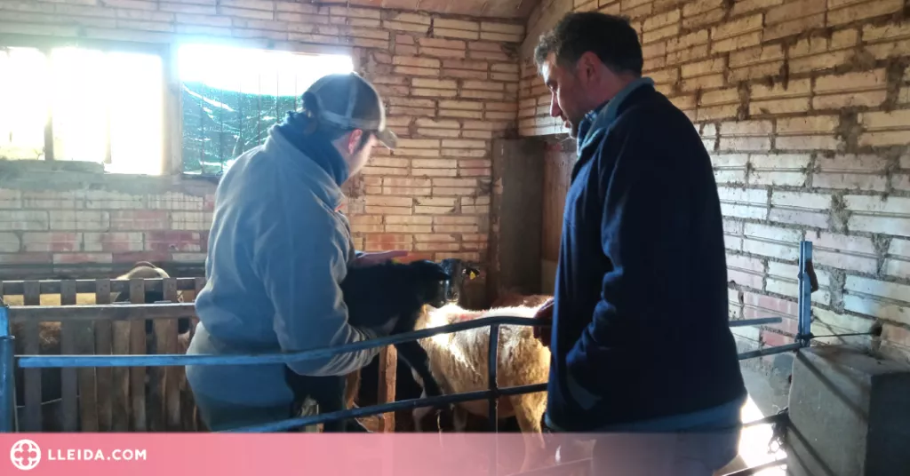 Les Escoles Agràries acompanyen i assessoren joves amb iniciatives agropecuàries viables
