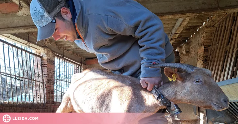 Les Escoles Agràries acompanyen i assessoren joves amb iniciatives agropecuàries viables