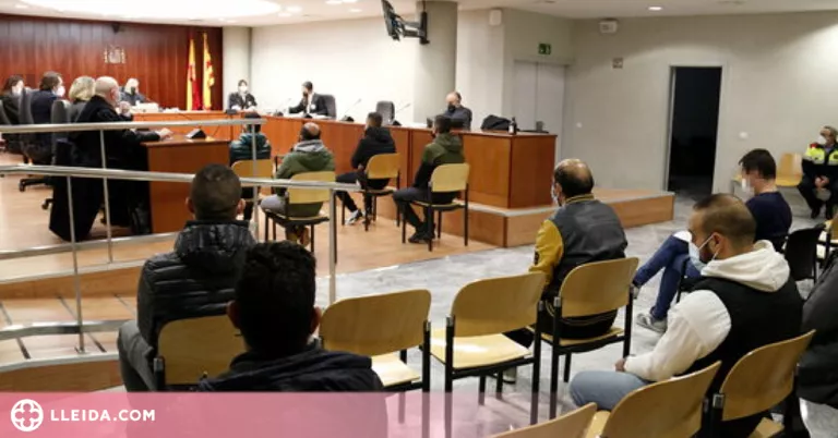 Vuit detinguts a Lleida en una operació antidroga accepten entre 3 i 4 anys de presó