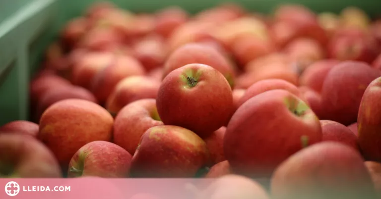 La Llei de la Cadena Alimentària causa problemes en l'agricultura