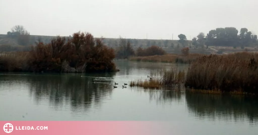⏯️ El Pla d'Urgell es prepara per acollir el Fòrum d'Ecoturisme, Natura i Sostenibilitat a Catalunya