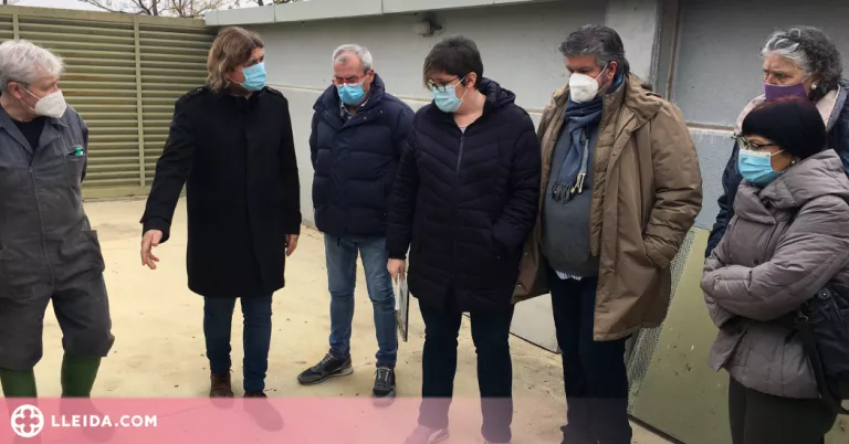 Reestructura del centre d'animals de companyia per a l'acolliment de gats
