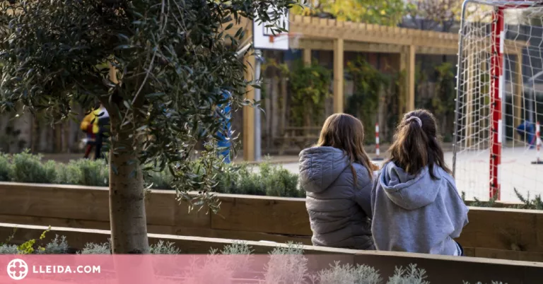 Les nenes amb més exposició prenatal al bisferol tindrien més risc d’asma i sibilacions