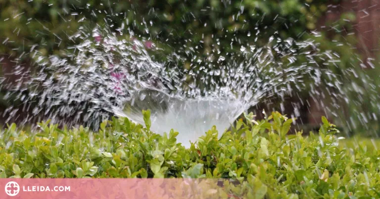 Les comunitats de regants rebutgen que s'elimini la restricció que impedia instal·lar parcs solars