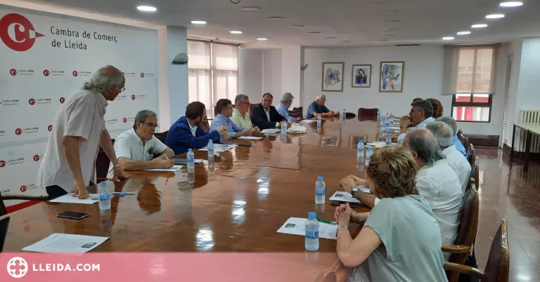 El Grup Turó Seu Vella 2030 vol canviar la gestió del conjunt per millorar la imatge de la ciutat