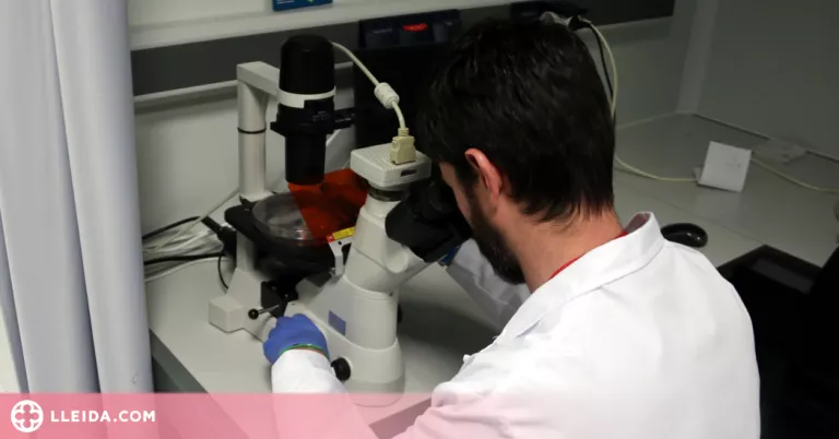 Sanitat confirma la primera mort a l'Estat per verola del mico