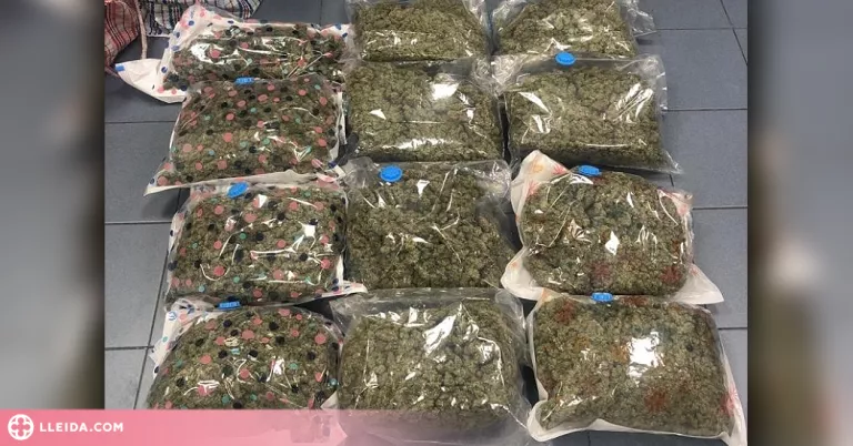 Detingut a Lleida amb més de 12 quilos de marihuana al cotxe