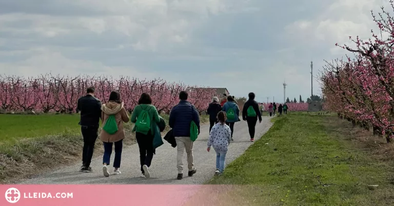 La caminada entre les flors de Corbins aplega 200 participants