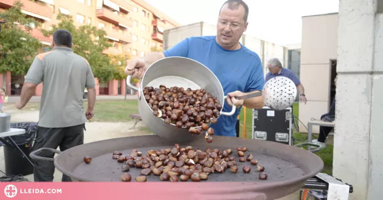 El temps de castanyes, protagonista del pont festiu de Tots Sants a Lleida