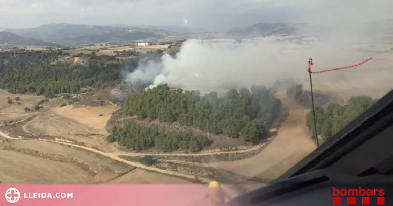 Un incendi forestal crema una hectàrea a la Noguera
