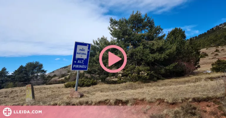 ⏯️ Organització al port del Cantó per evitar malmetre les zones de pastures