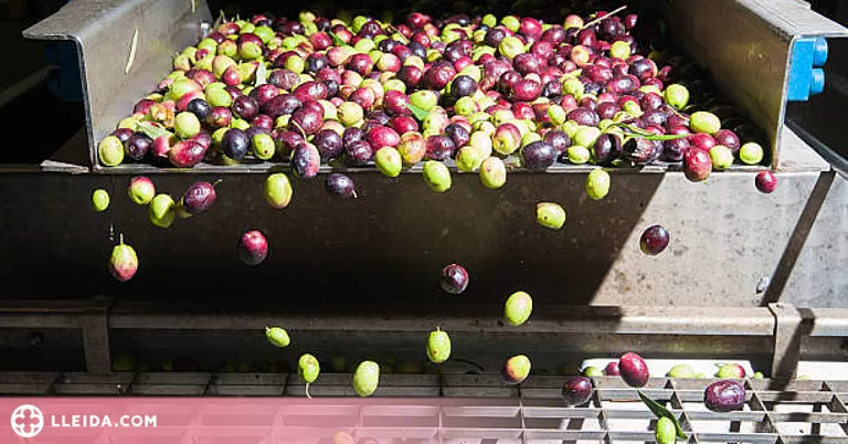 Acció Climàtica convoca un milió d'euros en ajuts per a exportacions agroalimentàries catalanes