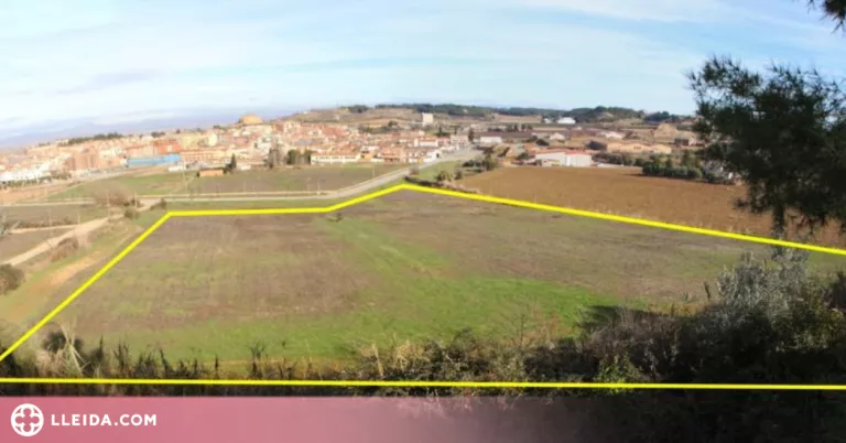 Almacelles ofereix parcel·les per a l'horticultura