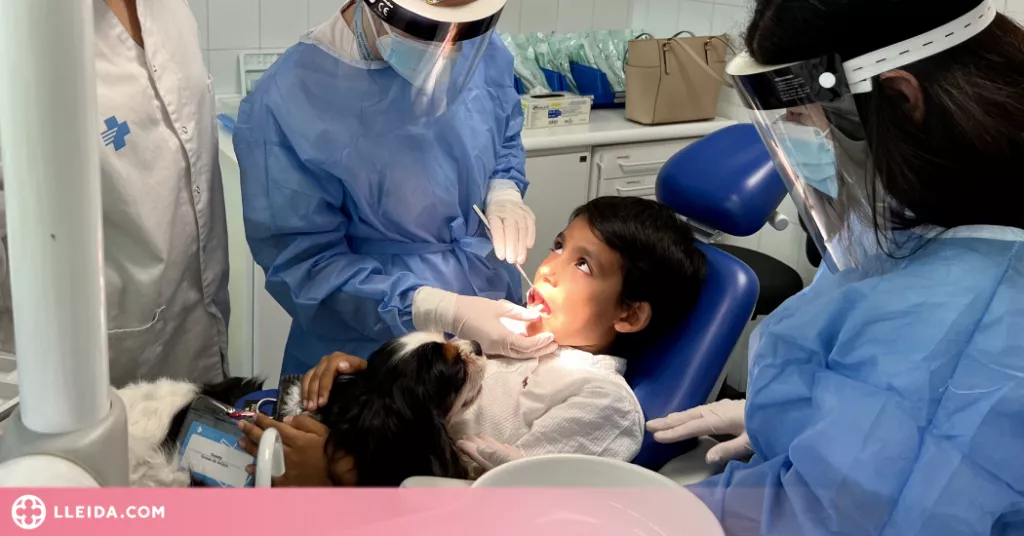 Gossos per reduir l'ansietat dels infants durant una extracció sanguínia o dental