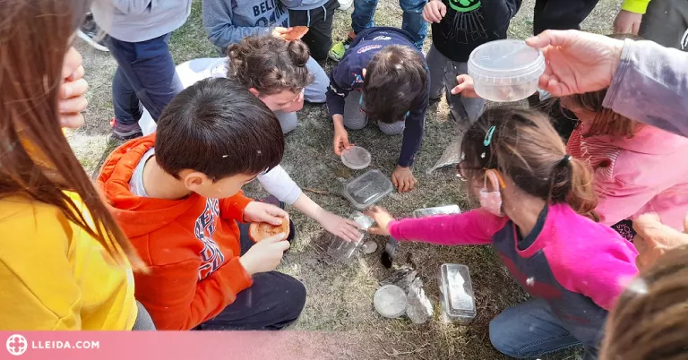 Lleida reprèn els tallers per a petits naturalistes al Parc de La Mitjana