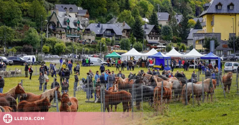 La Val d'Aran tornarà a celebrar enguany les fires ramaderes
