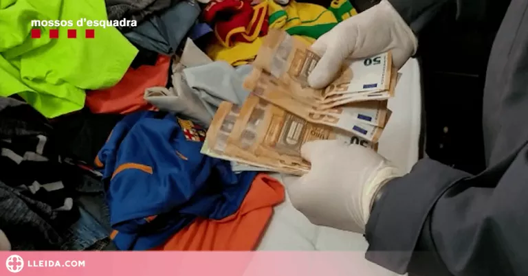 Quatre detinguts relacionats amb robatoris a cases i cultius de marihuana a Lleida