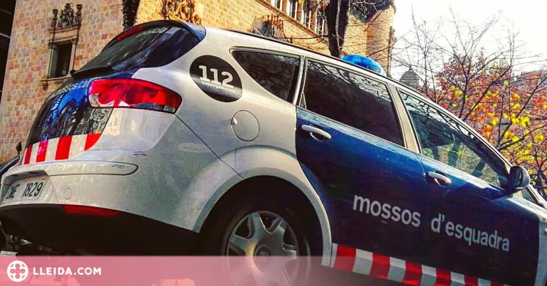 Detingut per un robatori amb violència i tres estafes a Lleida