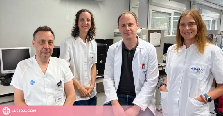 Identifiquen una nova línia de probiòtics per tractar l’obesitat i la diabetis