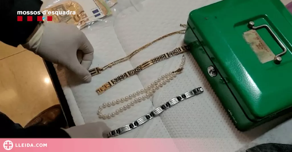 Quatre detinguts relacionats amb robatoris a cases i cultius de marihuana a Lleida