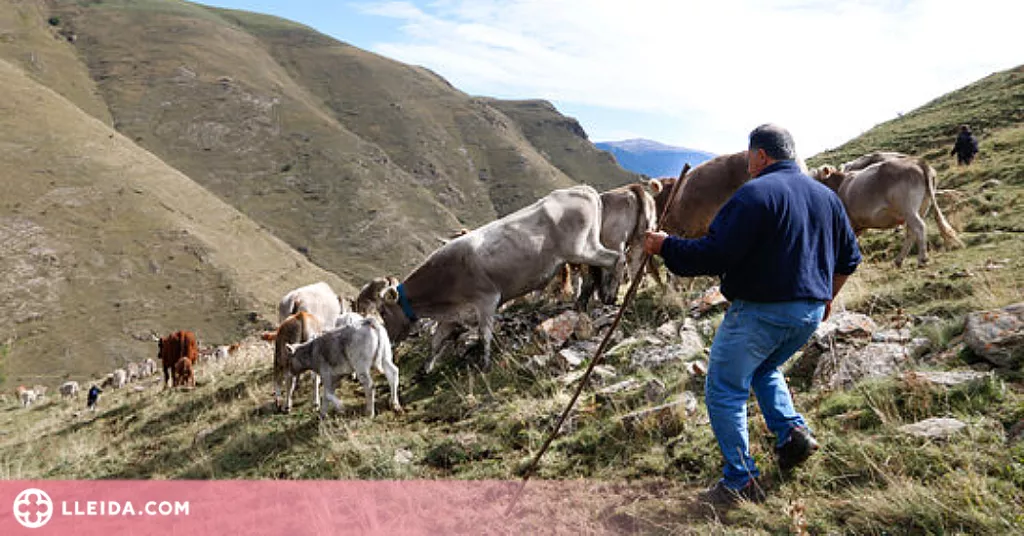 L'entrada no autoritzada a les explotacions ramaderes es castigarà amb multes de fins a 60.000 euros