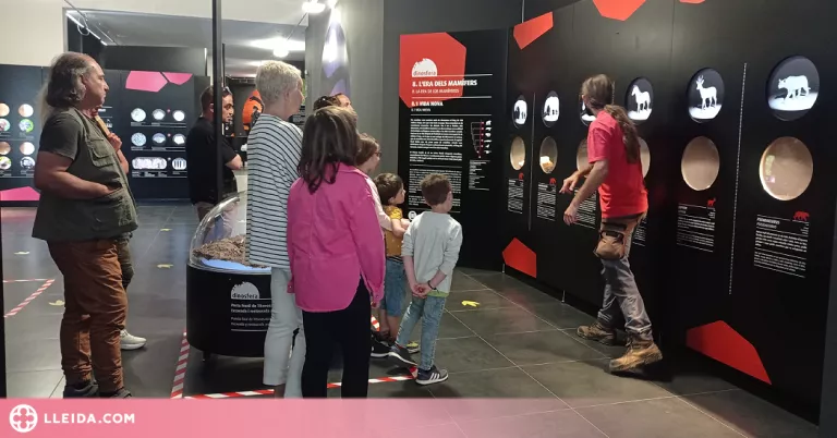 Comencen els actes del Dia Internacional dels Museus als equipaments de Lleida i Aran
