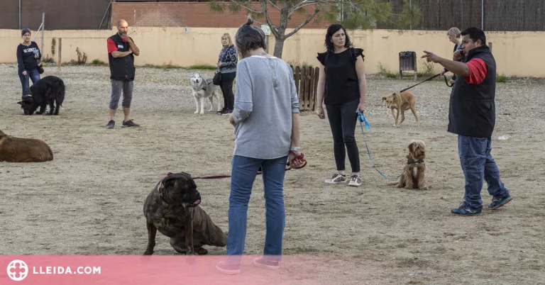 Èxit en el primer taller d'ensinistrament i educació canina de Torrefarrera