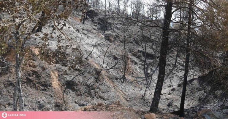 Extingit l'incendi d'Artesa de Segre