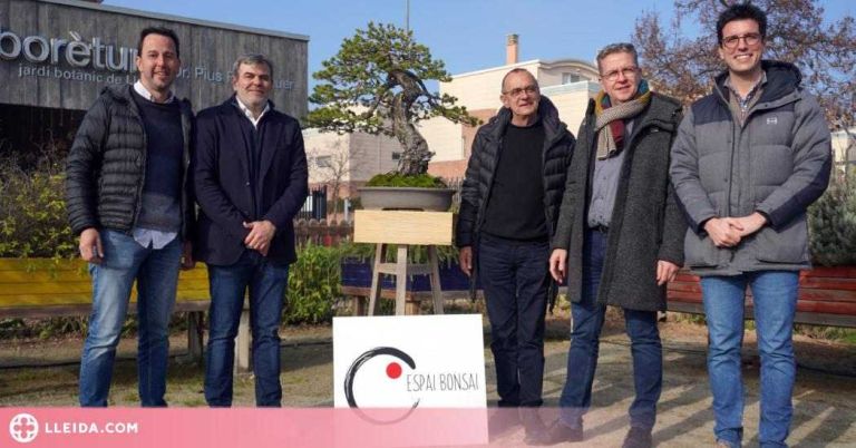 Neix el projecte Espai Bonsai dins l’Arborètum de Lleida