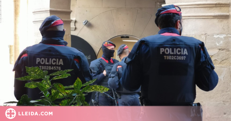 Detingut a Lleida per robar en quatre vehicles i intentar-ho en un domicili