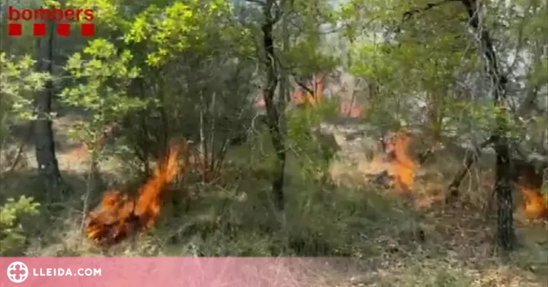 ⏯️ Els Bombers controlen un incendi de vegetació a Lladurs i dos focs de llamp a Tivissa
