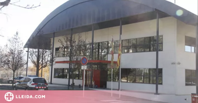 Detingut un jove andorrà per abusos sexuals a dos menors a la Seu d'Urgell