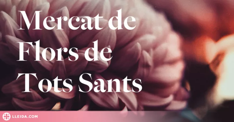 El Mercat de Flors de Tots Sants de Lleida torna a Copa d'Or