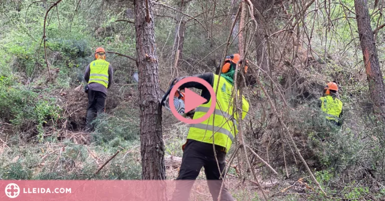 ⏯️ El Govern invertirà 8MEUR en prevenció d'incendis a Lleida i l'Alt Pirineu