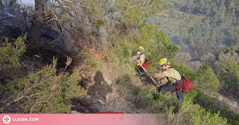 Els Bombers donen per estabilitzat l'incendi forestal d'Ascó