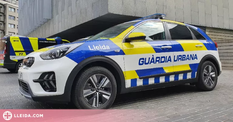 Detingudes quatre persones en dos dies per robatoris amb força o violència a Lleida