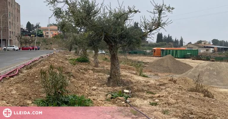 Almacelles millora el manteniment del seu patrimoni natural amb un nou sistema de reg