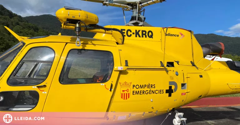 Un home mor a la Vall d'Aran pel tret accidental d'un caçador
