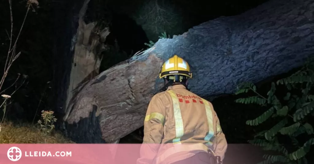 Un incendi per un llamp i més de 40 caigudes d'arbres durant la tempesta als Pirineus