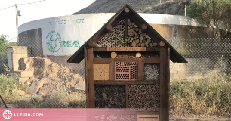 Aigües de Cervera impulsa un projecte per naturalitzar la depuradora i afavorir la biodiversitat