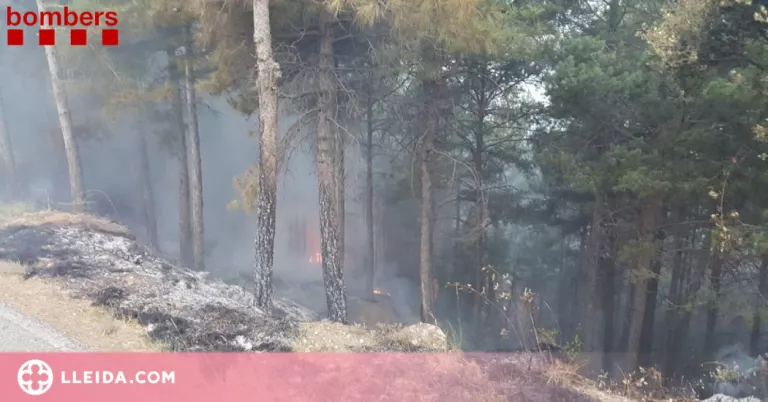 Un incendi per un llamp i més de 40 caigudes d'arbres durant la tempesta als Pirineus