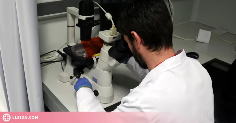 Sanitat xifra en 132 els casos de verola del mico a Espanya