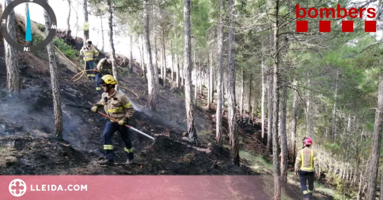 Controlat l'incendi de Navès