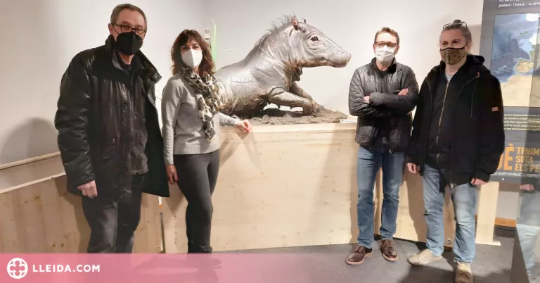 El Museu Tàrrega Urgell exposa la diversitat geològica i biològica de la demarcació de Lleida