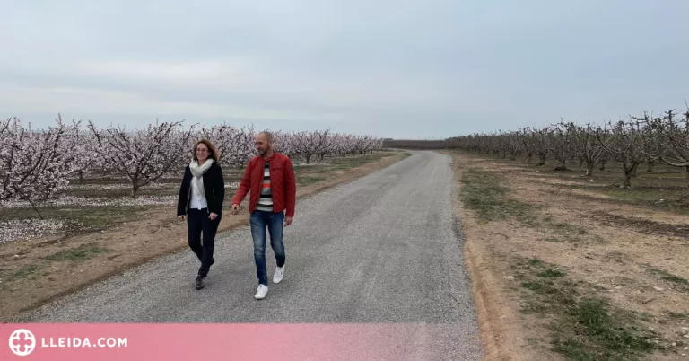 Finalitzen les millores dels camins agrícoles de Corbins