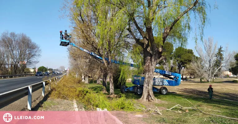 Millora i dignificació al Parc de les Basses