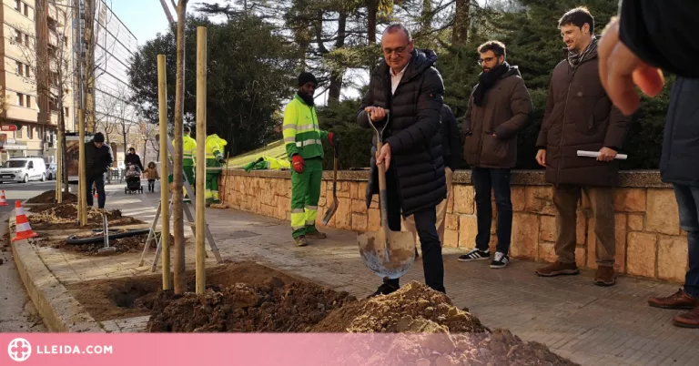El carrer Salmerón de Lleida incorpora 23 arbres